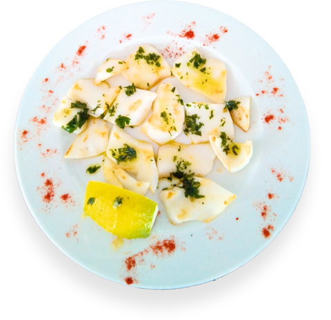 Sepia Bistro Las Dunas Puerto de Sagunto